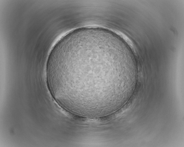 X0000115561191200911201816