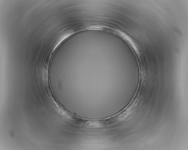 X0000115561194200911201816