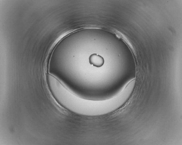 X0000115561195200911201816