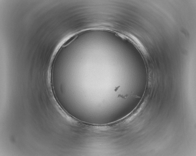 X0000115561196200911201816