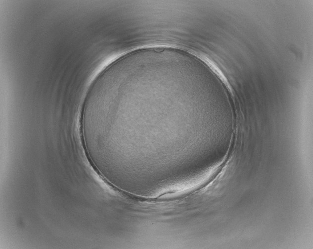 X0000115561197200911201816