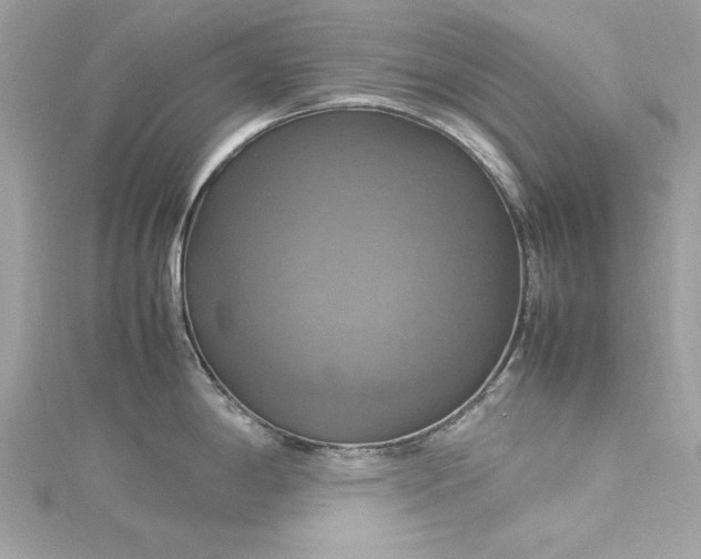 X0000115561198200911201816