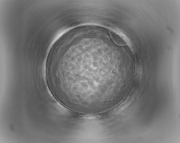 X0000115561199200911201816