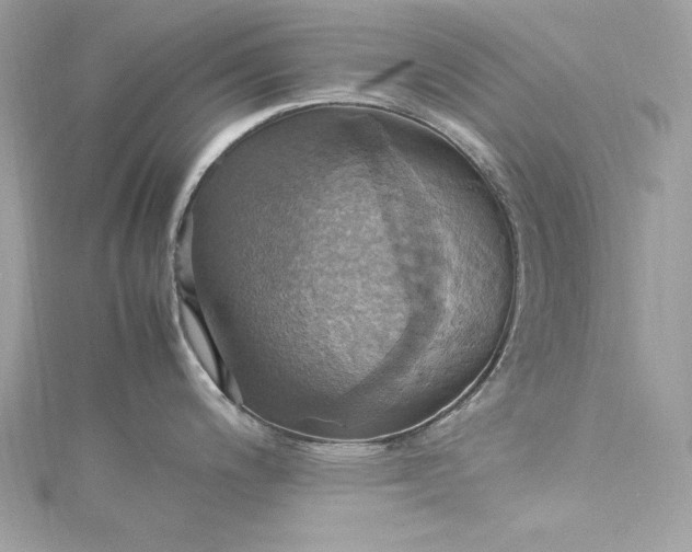 X0000115561200200911201816