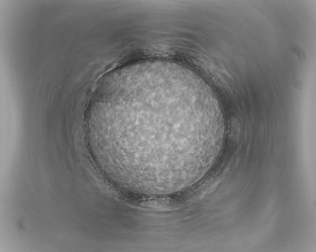 X0000115561201200911201815