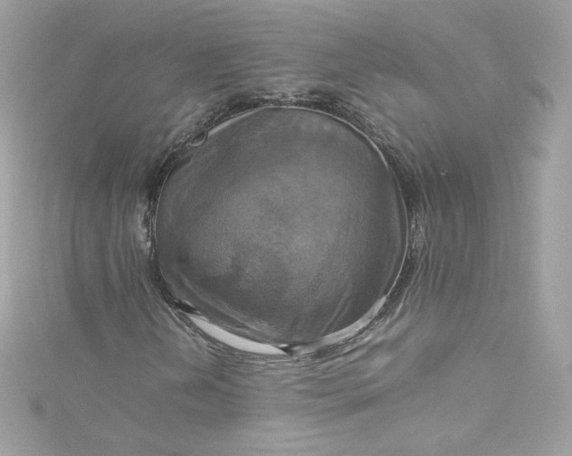 X0000115561202200911201815