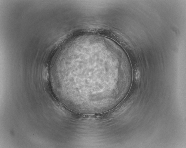 X0000115561204200911201815