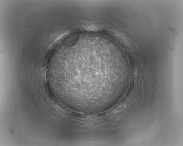 X0000115561205200911201815