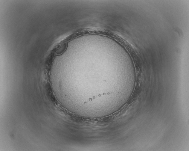 X0000115561207200911201815