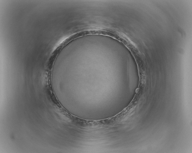 X0000115561208200911201815