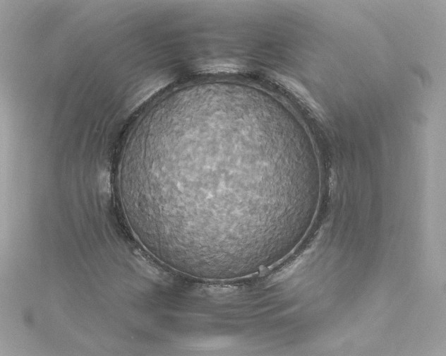 X0000115561209200911201815