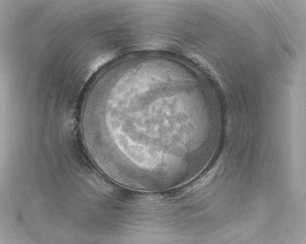 X0000115561210200911201815