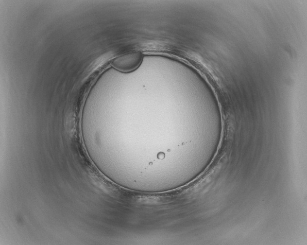 X0000115561211200911201815