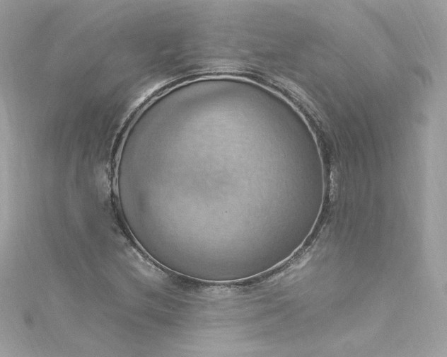 X0000115561212200911201815