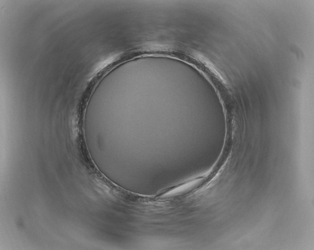 X0000115561213200911201815