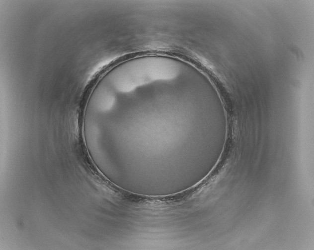 X0000115561214200911201815