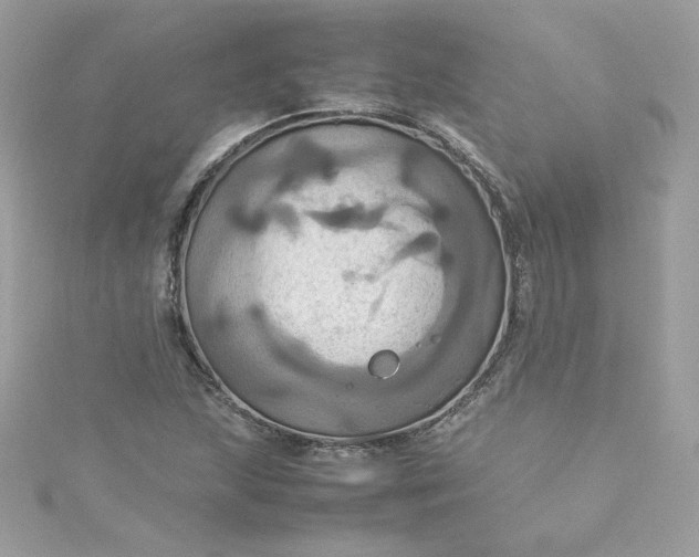 X0000115561215200911201815