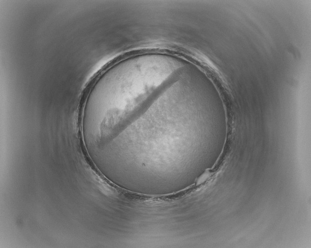 X0000115561216200911201815