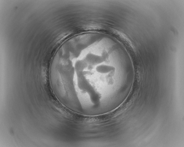 X0000115561217200911201815