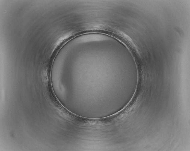 X0000115561218200911201815