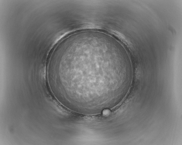 X0000115561220200911201815