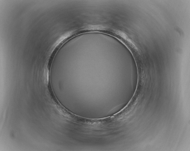 X0000115561221200911201815