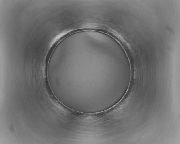 X0000115561222200911201815