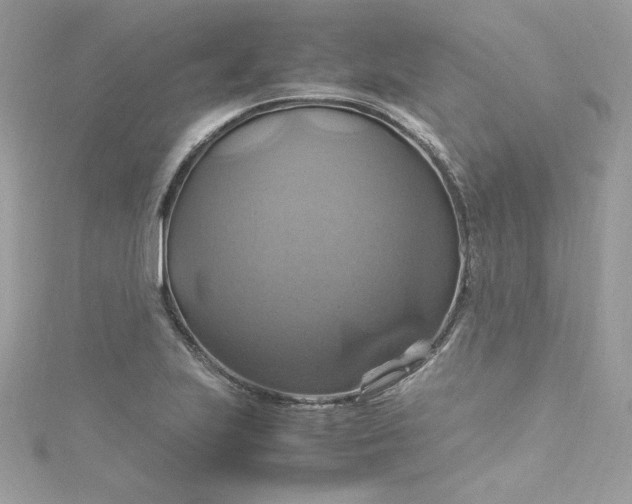 X0000115561223200911201815