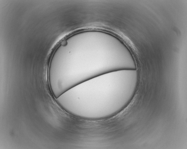 X0000115561224200911201815