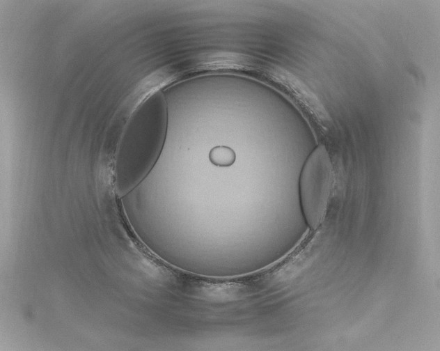 X0000115561225200911201815