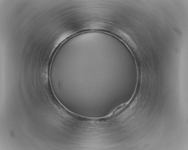 X0000115561226200911201815