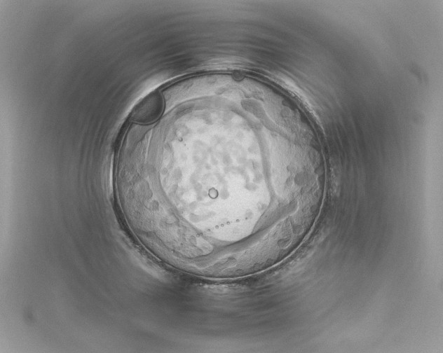 X0000115561227200911201816