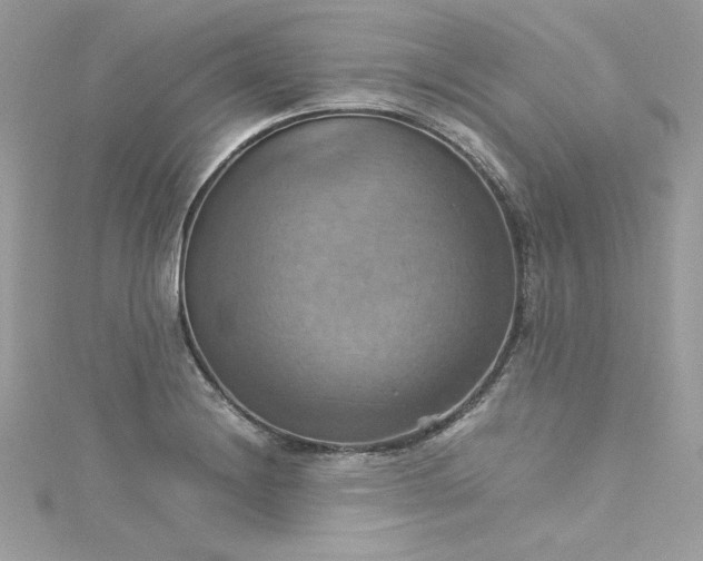 X0000115561228200911201816