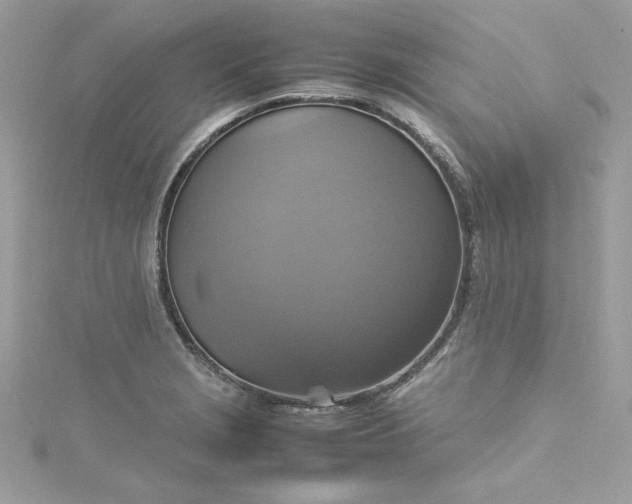 X0000115561229200911201816