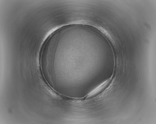 X0000115561230200911201816