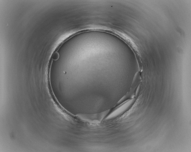 X0000115561231200911201816