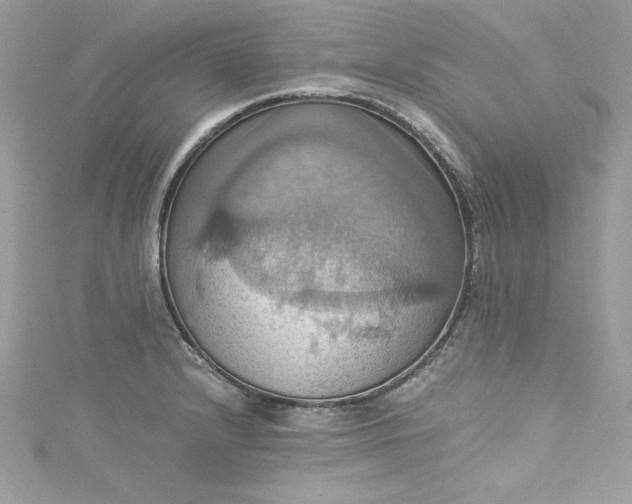 X0000115561232200911201816