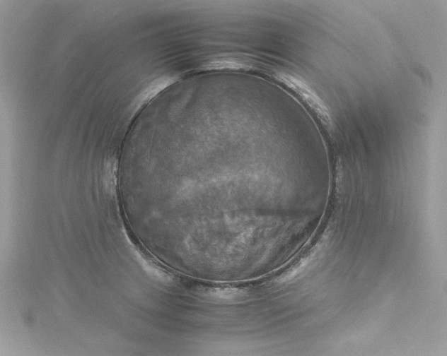 X0000115561233200911201816