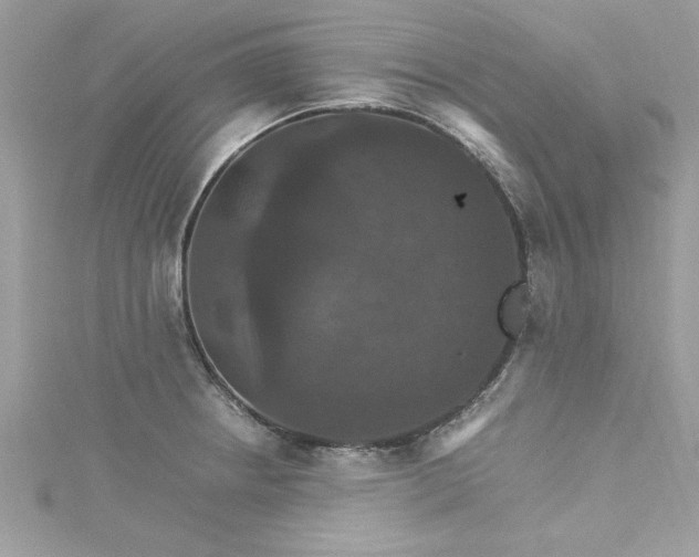 X0000115561234200911201816