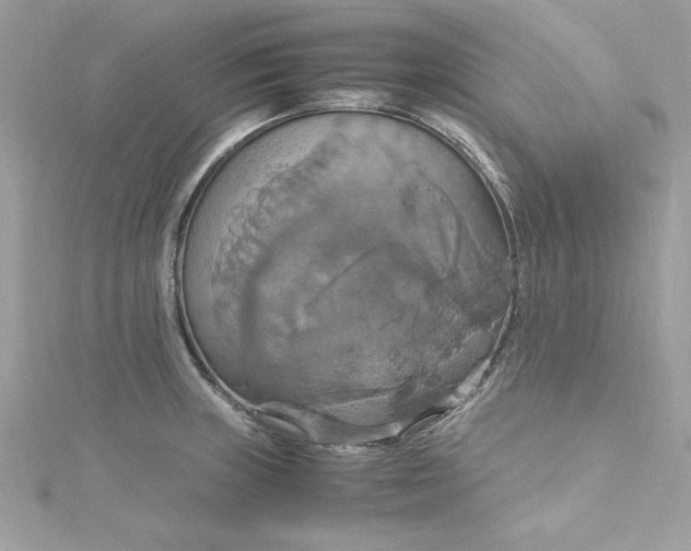 X0000115561235200911201816