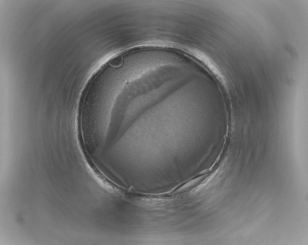 X0000115561237200911201816