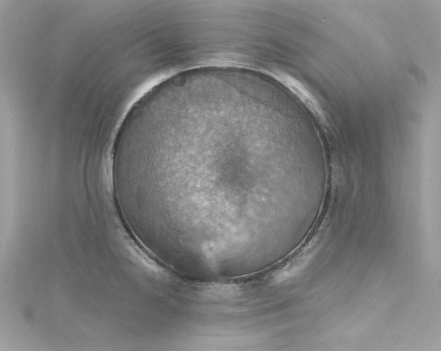 X0000115561238200911201816