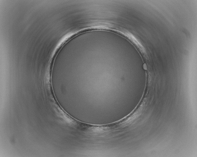 X0000115561240200911201816