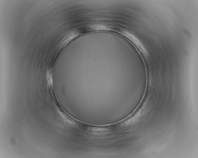 X0000115561241200911201816