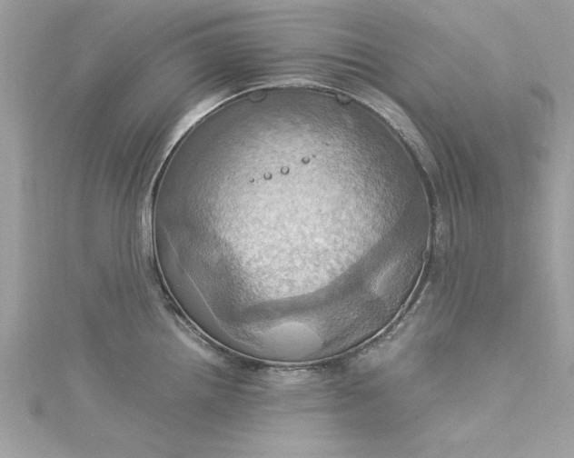 X0000115561242200911201816