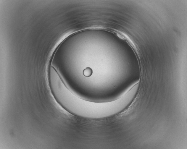 X0000115561243200911201816