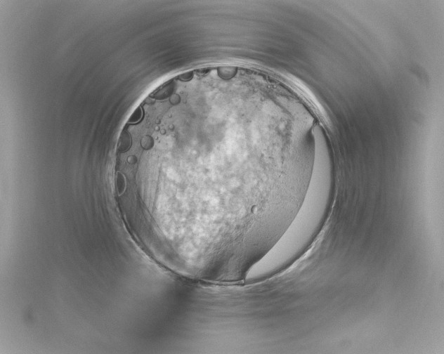 X0000115561244200911201816