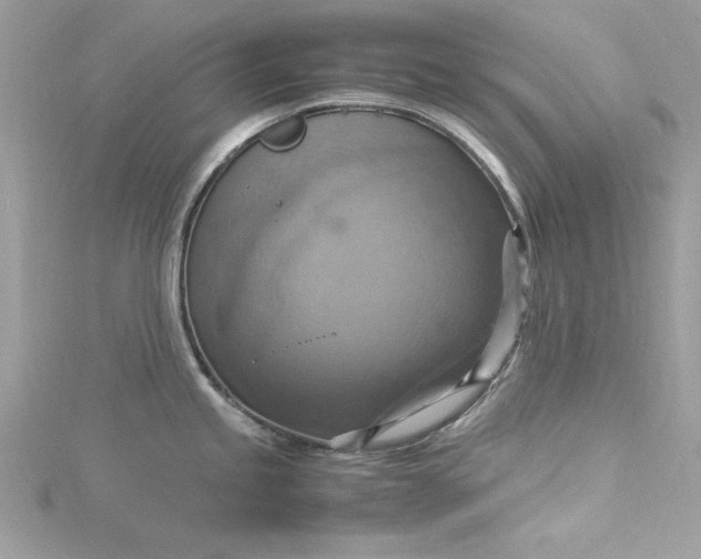 X0000115561245200911201816