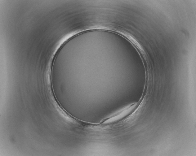 X0000115561246200911201816