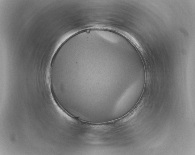 X0000115561247200911201816